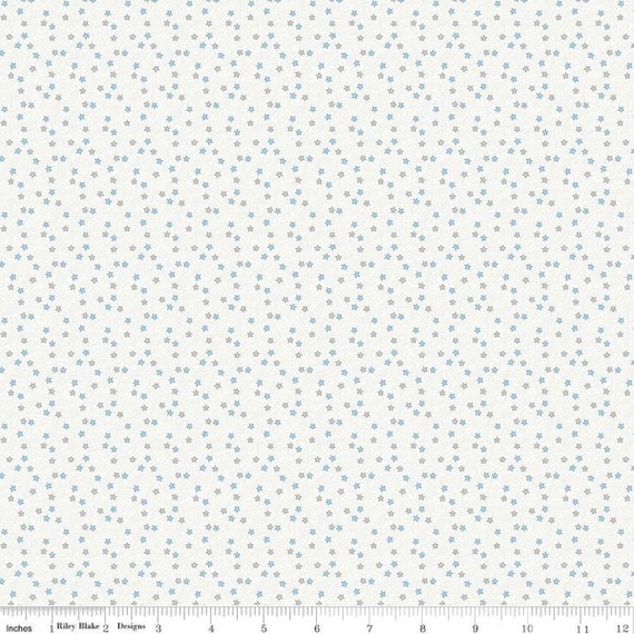 Hush Hush 3- 1/2 Yard Increments, Cut Continuously (C14060 Oops-a-Daisy) by Gerri Robinson for Riley Blake Designs