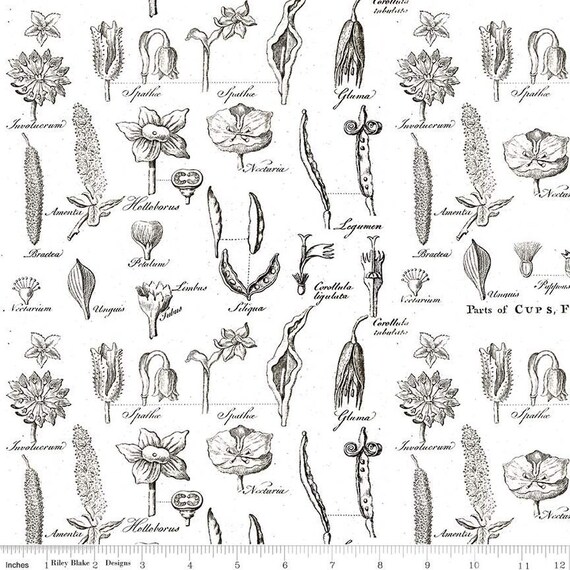 Art Journal- End of Bolt 16.5" (C13042 Flower Study White) by J. Wecker Frisch for Riley Blake Designs