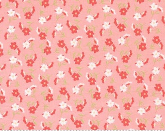 Sunwashed- 1/2 Yard Increments, Cut Continuously (29162 22 Carnation) by Corey Yoder for Moda Fabrics