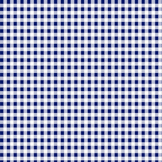 Dots and Stripes - 1/2 Yard Increments, Cut Continuously (28895-N Mini Gingham Blue) by QT Fabrics