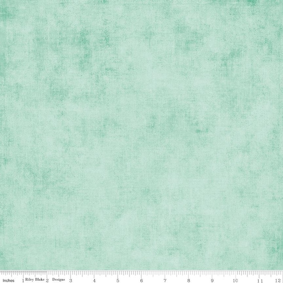 Shades- 1/2 Yard Increments, Cut Continuously (C200 Hint of Mint) by RBD Designers