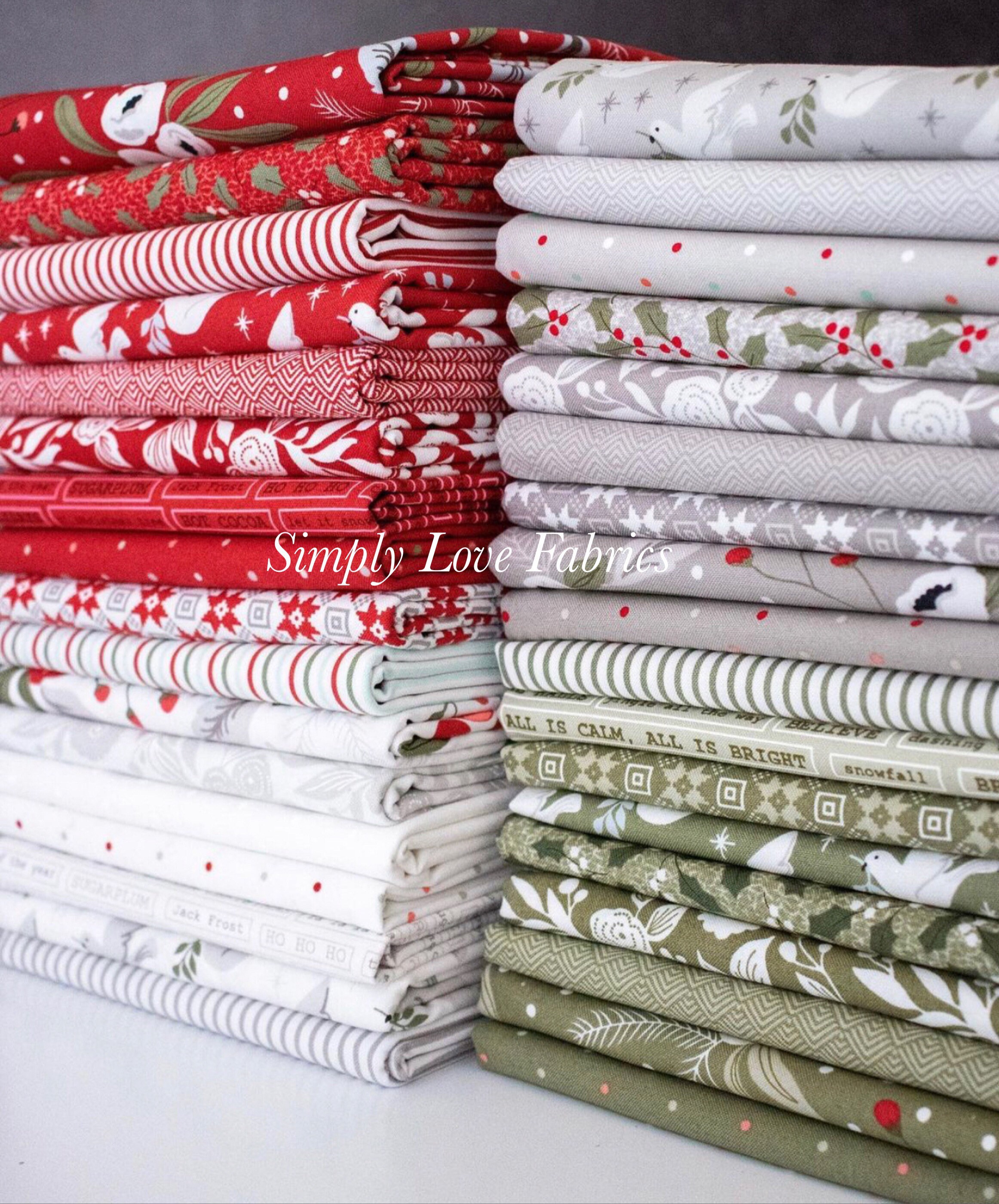 Christmas Morning 1/2 Yard Increments, Cut Continuously (5140 11 Snow