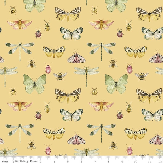 Love Me More - 1/2 Yard Increments, Cut Continuously (CD15632 Flutter Yellow) by Lisa Audit for Riley Blake Designs