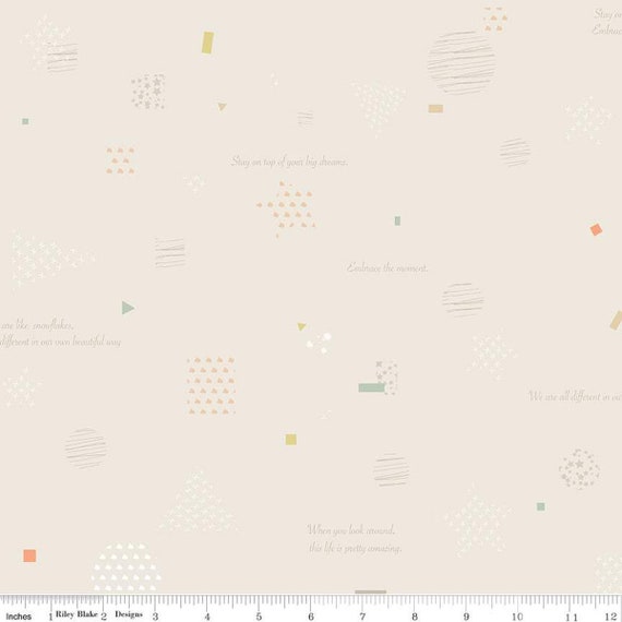 Hush Hush 3- 1/2 Yard Increments, Cut Continuously (C14075 Big Dreams) by Minki Kim for Riley Blake Designs
