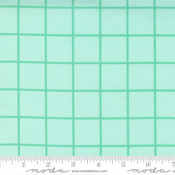One Fine Day- 1/2 Yard Increments, Cut Continuously (55235-16 Aqua Windowpane Check) by Bonnie and Camille for Moda