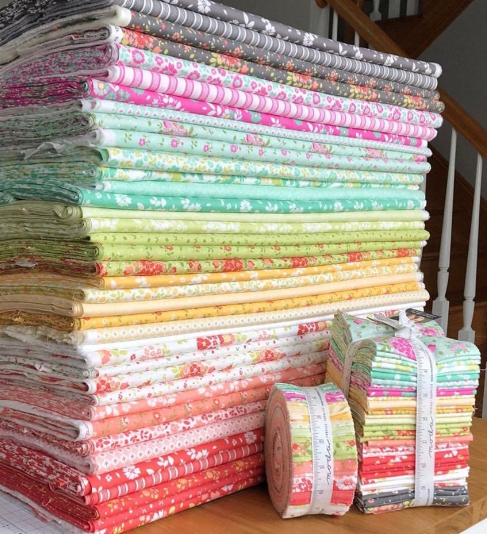 Mini Charm Pack Canning Day by Corey Yoder for Moda Fabrics29080MC 42