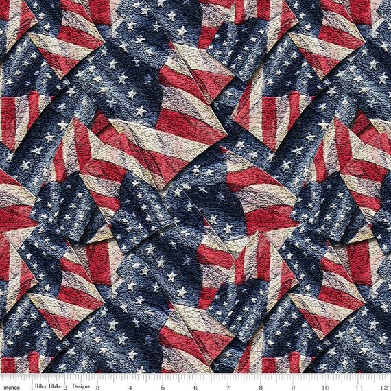 Coming Home-1/2 Yards Increments, Cut Continuously (CD14424 Flags Multi) by Vicki Gifford for Riley Blake Designs