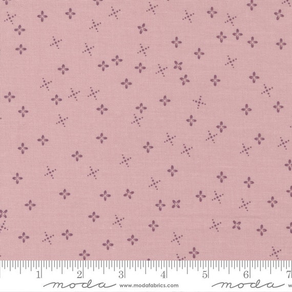 Slow Stroll- 1/2 Yard Increments, Cut Continuously  (45546 12 Twilight Dot Petal) Fancy that Design House for Moda