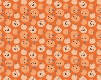 Frank and Friends - 1/2 Yard Increments, Cut Continuously (C17472 Pumpkins Orange) by My Minds Eye for Riley Blake Designs