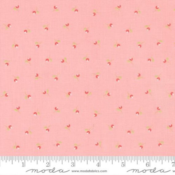 Sunwashed- 1/2 Yard Increments, Cut Continuously (29164 22 Carnation) by Corey Yoder for Moda Fabrics