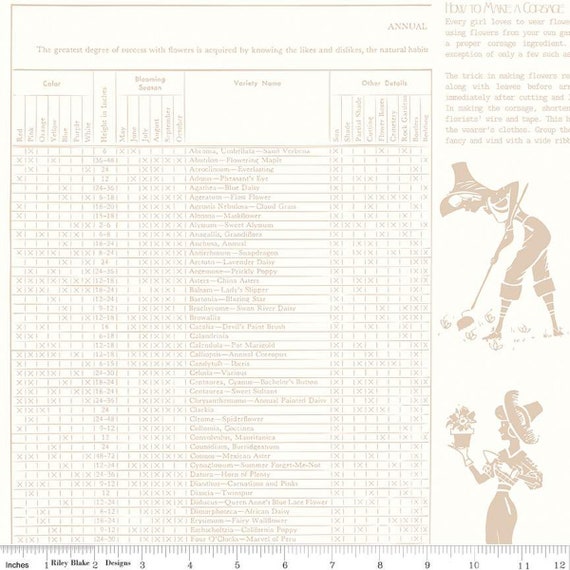 Hush Hush 3 - End of Bolt 8.5" (C14063 Farmers Almanac) by Lori Holt for Riley Blake Designs