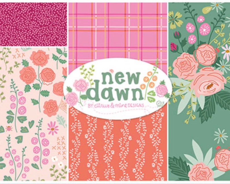 New Dawn 12 Yard Increments C9853 Blush Strawberry by Citrus and Mint for Riley Blake Designs Cut Continuously