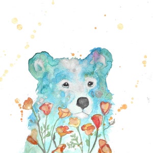 California Poppy Bear watercolor art prints