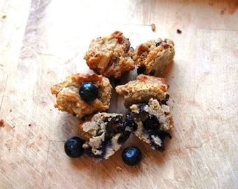 Blueberry Tropical Muffins