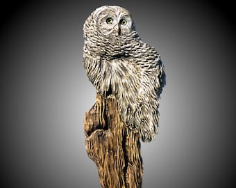 Barred Owl Wall Carving in Alder wood white gray staining yellow stained eyes hand made to order for home or office decor