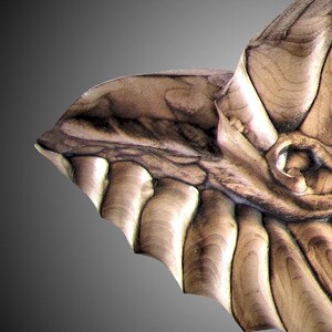 Nautilus Shell Wall Sculpture - Etsy