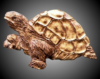 Desert Tortoise Wall Carving in Alder wood hand carved made to order Tung oil finish Decor for home or office