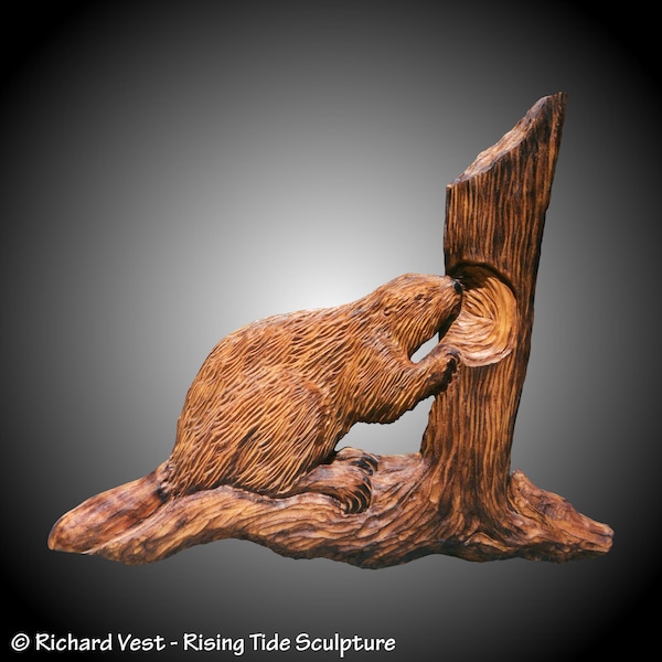 Tree Beaver wood wall sculpture alder tung oil finish home or office