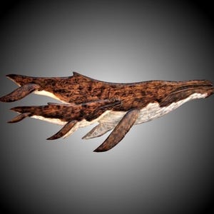 Hand Carved Humpback Whale Wall Sculpture: Mother and Calf Alder Wood Art