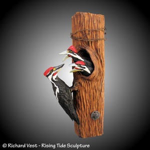 Hand Carved Pileated Woodpecker Family Alder Wall Sculpture