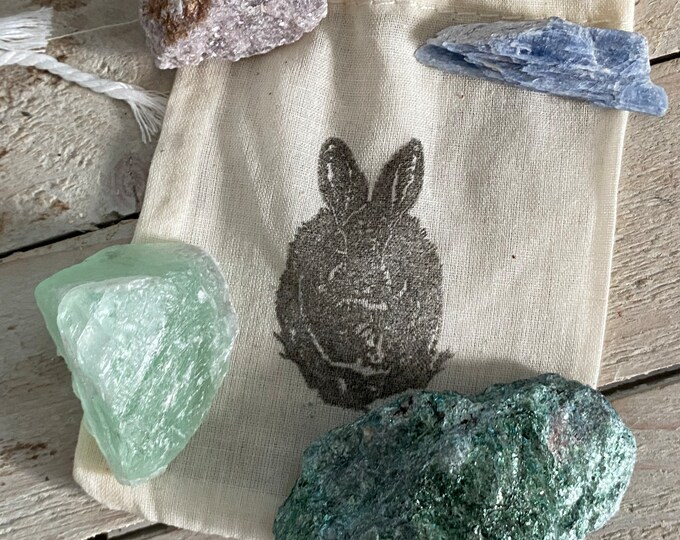 Rabbit Totem Rabbit Medicine Green Fluorite Blue Kyanite Fuchsite ...
