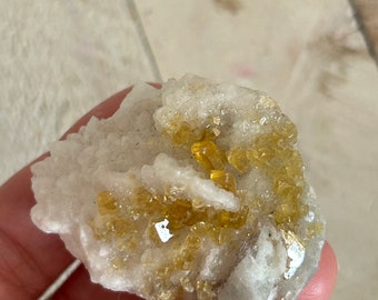 GOLDEN BARITE from JiangXi, China Yellow Barite Gold Barite on Quartz Box 85