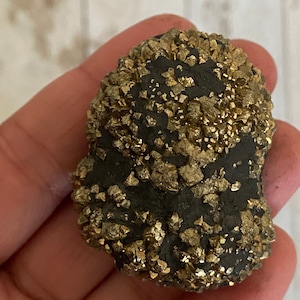 Golden Marcasite over Limonite Golden Prophecy Stone  Box 44*