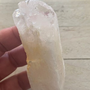 Large Danburite Light Pink Danburite Starseed Crystal  D3  Box 73