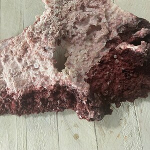 Rare Burkeite Plate Large Plate from Searles Lake, CA Pink Halite Cluster Brown Box 117*