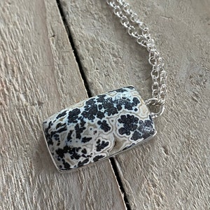 Puede incluir: Un collar con colgante rectangular con una piedra que muestra un patrón en blanco y negro. La piedra está engastada en un marco de metal plateado y cuelga de una delicada cadena plateada. El collar se exhibe sobre una superficie de madera clara.
