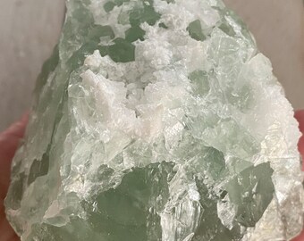 il_340x270.4409504472_hou4.jpg