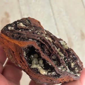 May include: A close-up of a brown and black rock with a cavity filled with small, white crystals. The rock has a layered texture and is held in a hand.