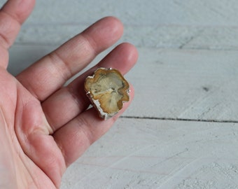 Petrified Wood Slice Ring Size 7.5 Petrified Wood Ring Size 7.5 Sterling Silver Ring Size 7