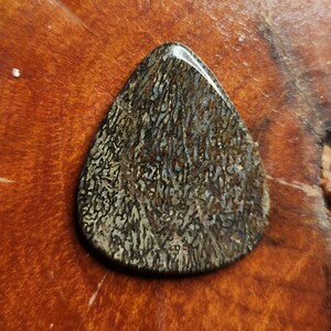 2.5mm gembone dinosaur bone agate gemstone guitar pick. image 3