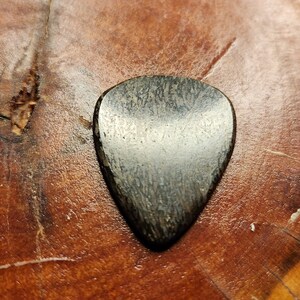 2.5mm gembone dinosaur bone agate gemstone guitar pick. image 5