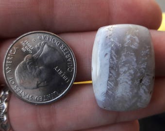 41 ct fossil coral rectangle cushion cabochon