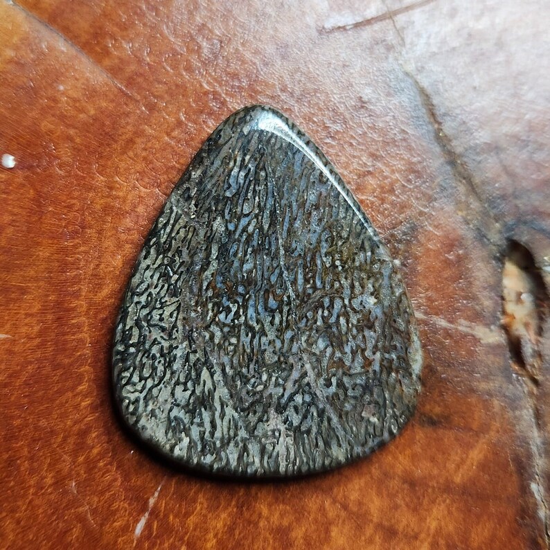 2.5mm gembone dinosaur bone agate gemstone guitar pick. image 2