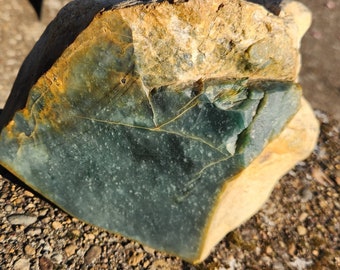 15 lbs Guatemala blue jadeite rough carving block