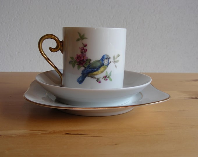 Set of 4 Tirschenreuth Bird Tea Cups and Saucers With Dessert Dishes in Bird Design Fine Porcelain
