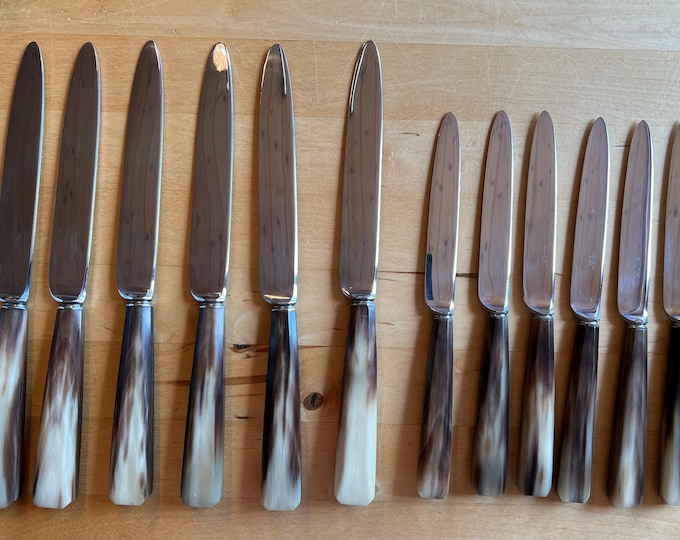 Set of 12 Table and Butter Knives (6 and 6)  With Faux Bone Handles JCF Stainless Steel
