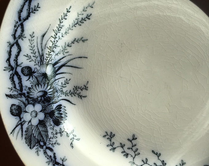 Set of Four Villeroy and Boch Taunus Dessert Bread Salad Plates