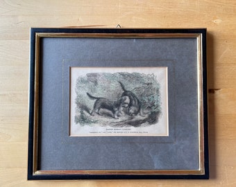 Print Of Dandie Dinmont Terriers by Pearson S.C. In Frame Dog Mom Gift