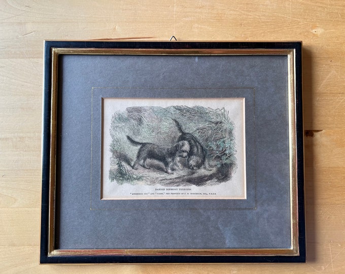 Vintage Print Of Dandie Dinmont Terriers by Pearson S.C. In Frame Dog Mom Gift