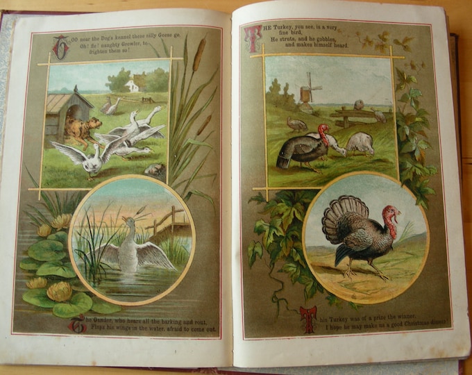 Pinafore Picture Book, Vintage Children’s Book English Antiquarian Book 19th Century