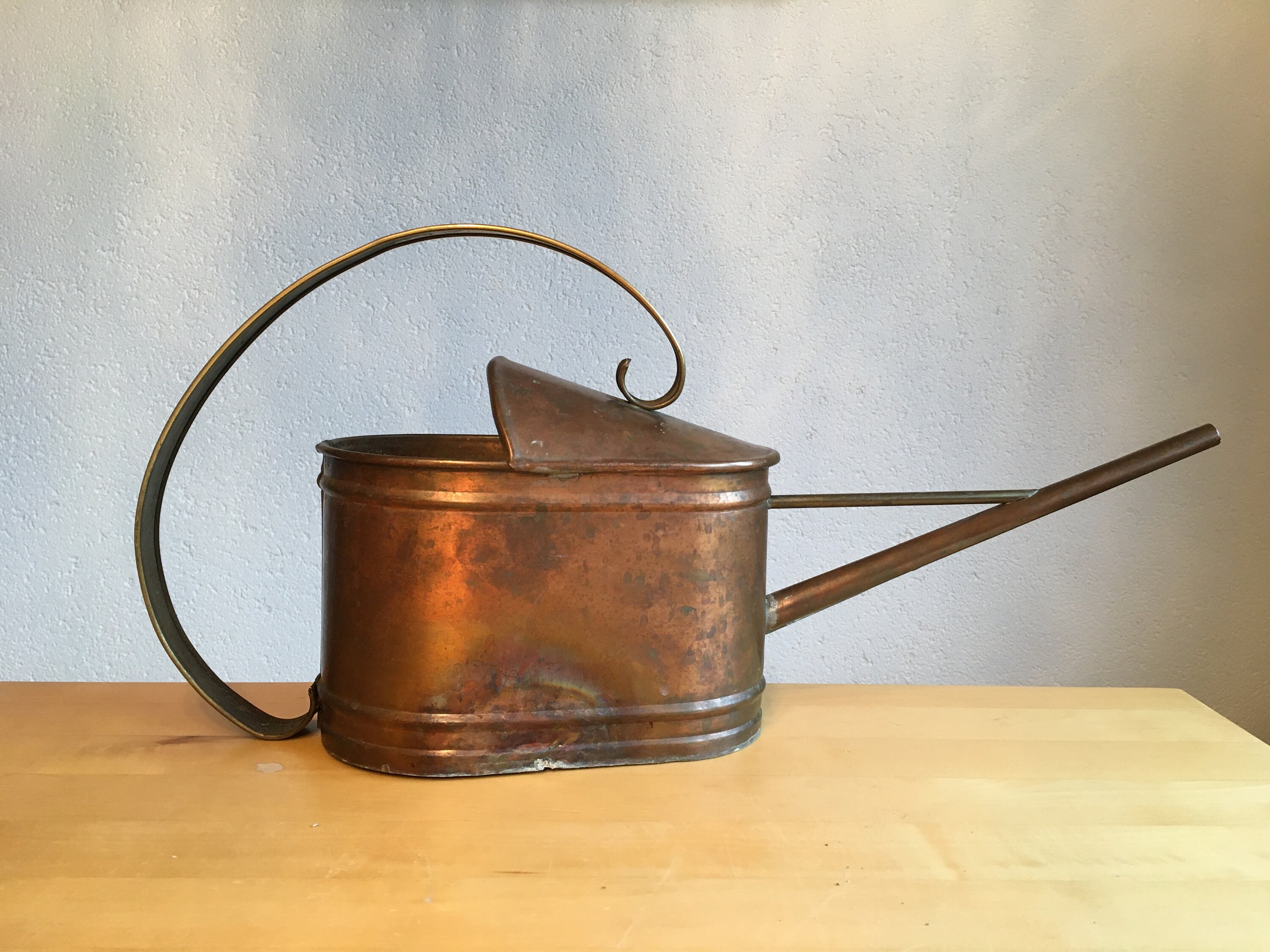 Vintage copper watering can as planter