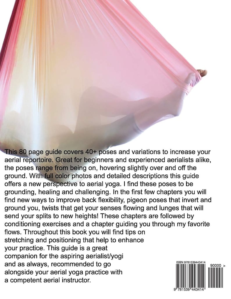 Low Flying Aerial Yoga Book Free Domestic Shipping image 3