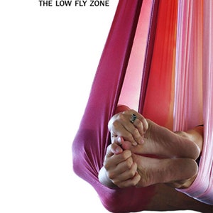 Low Flying Aerial Yoga Book Free Domestic Shipping image 2