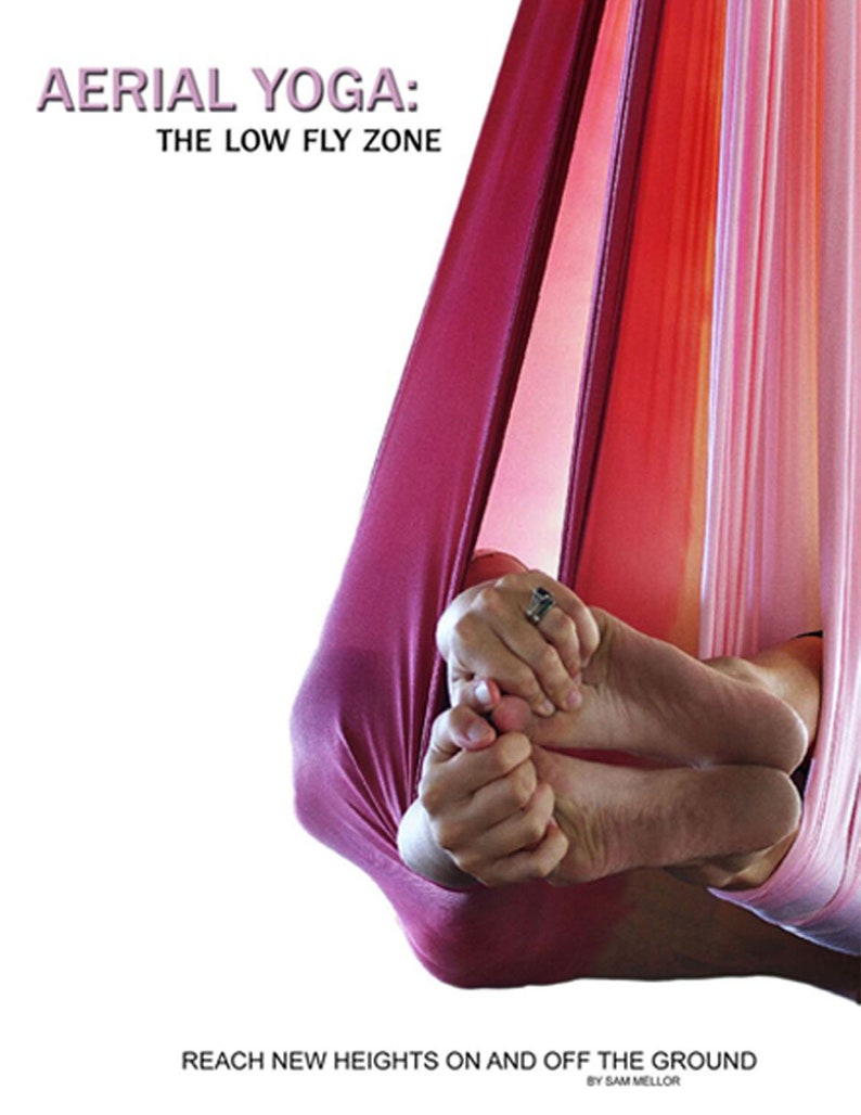 Low Flying Aerial Yoga Book Free Domestic Shipping image 2