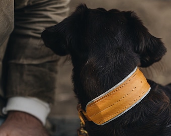 Sunny Style: Wide Yellow Dog Collar with Wool-Felt Padding for a Vibrant, Happy Pet, and Comfort Daily Walks. PINE