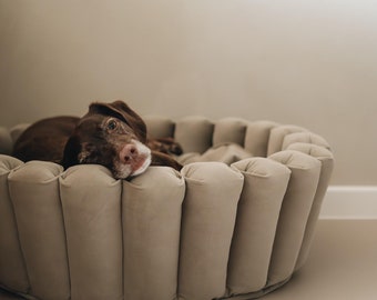 Cama elegante para perros pequeños: refugio moderno y acogedor para mascotas "HAVEN"